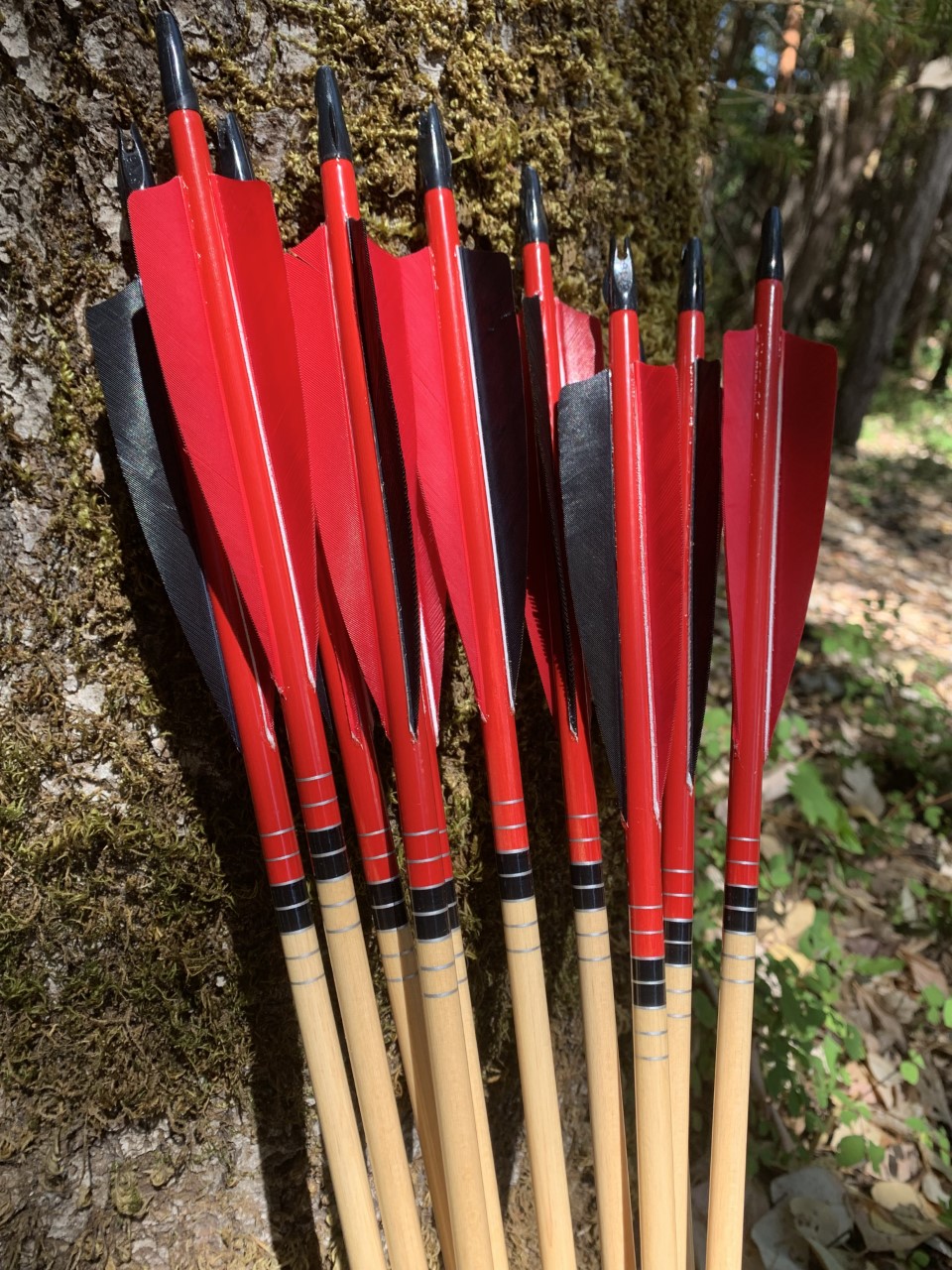 Wapiti Hunter Wood Arrows Wapiti Archery Poc