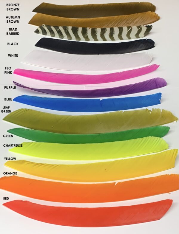 Yellow Barred Trueflight Full Length Feathers Right Wing 100 Pack 