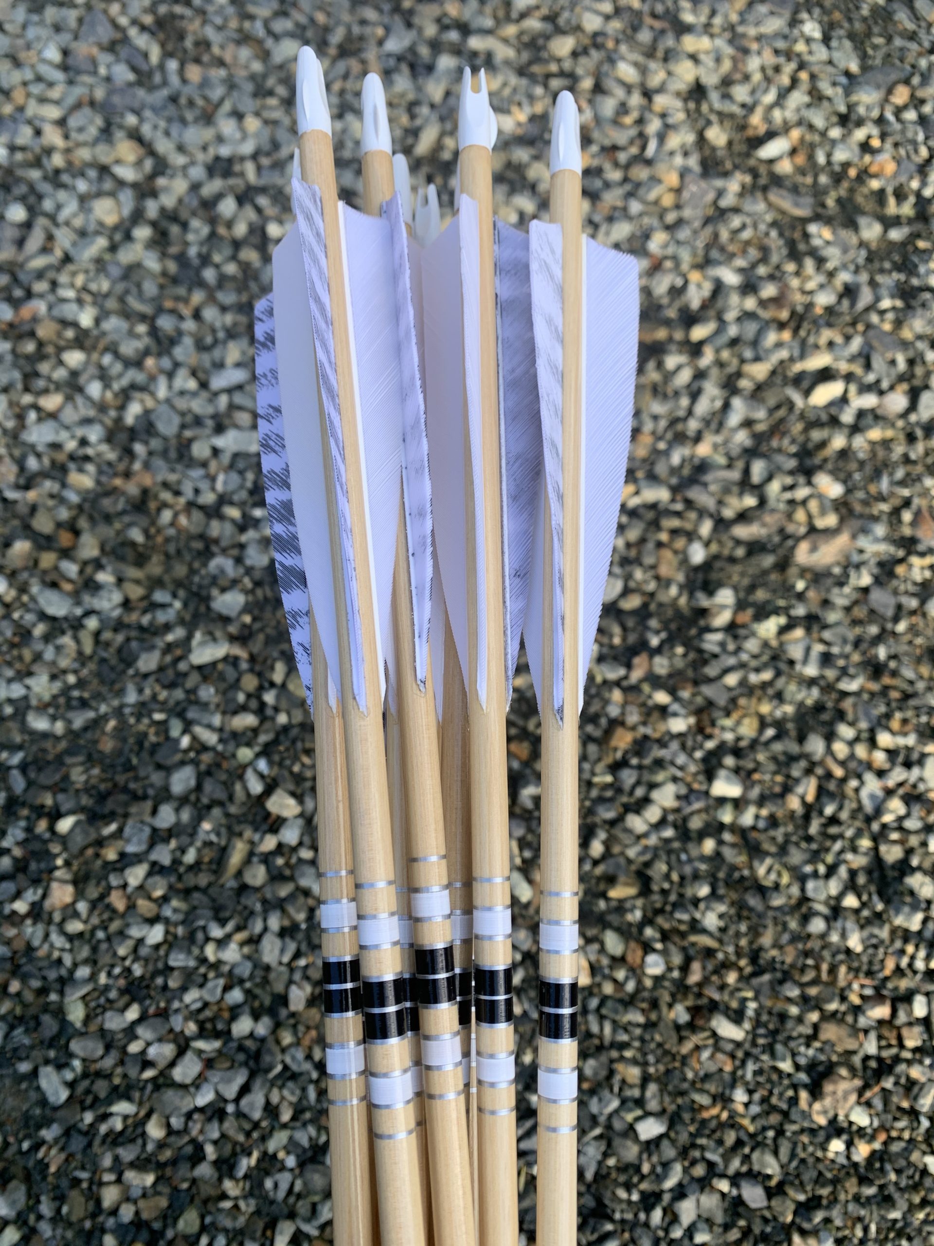 Black Bear Wood Arrows