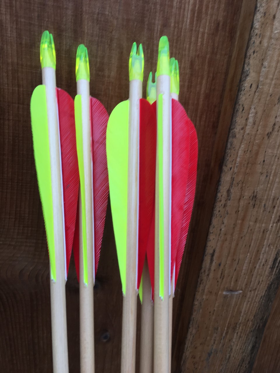 Wapiti Basic Wood Arrows - Wapiti Archery POC